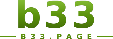 b33 logo